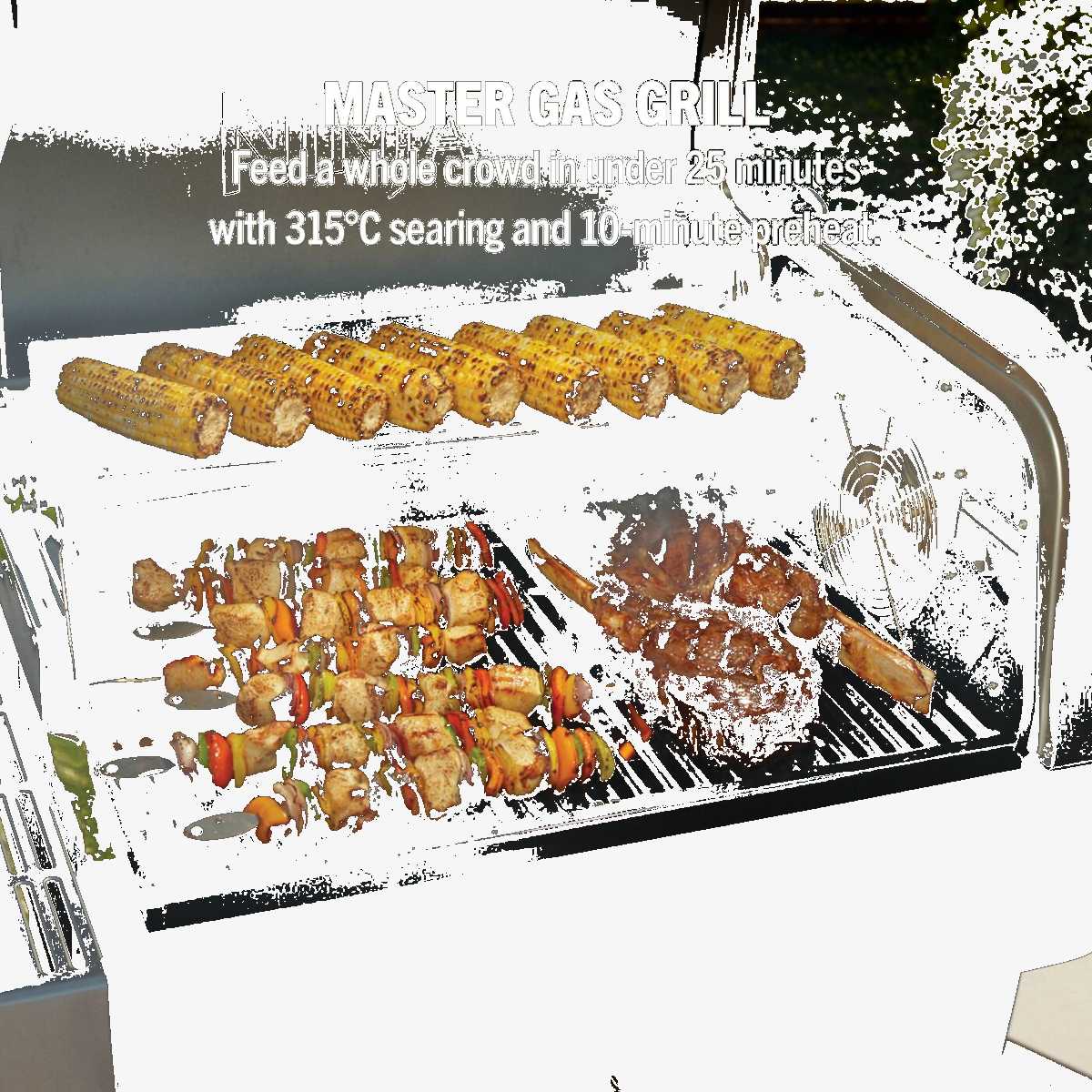 PG301UKGNUB product image