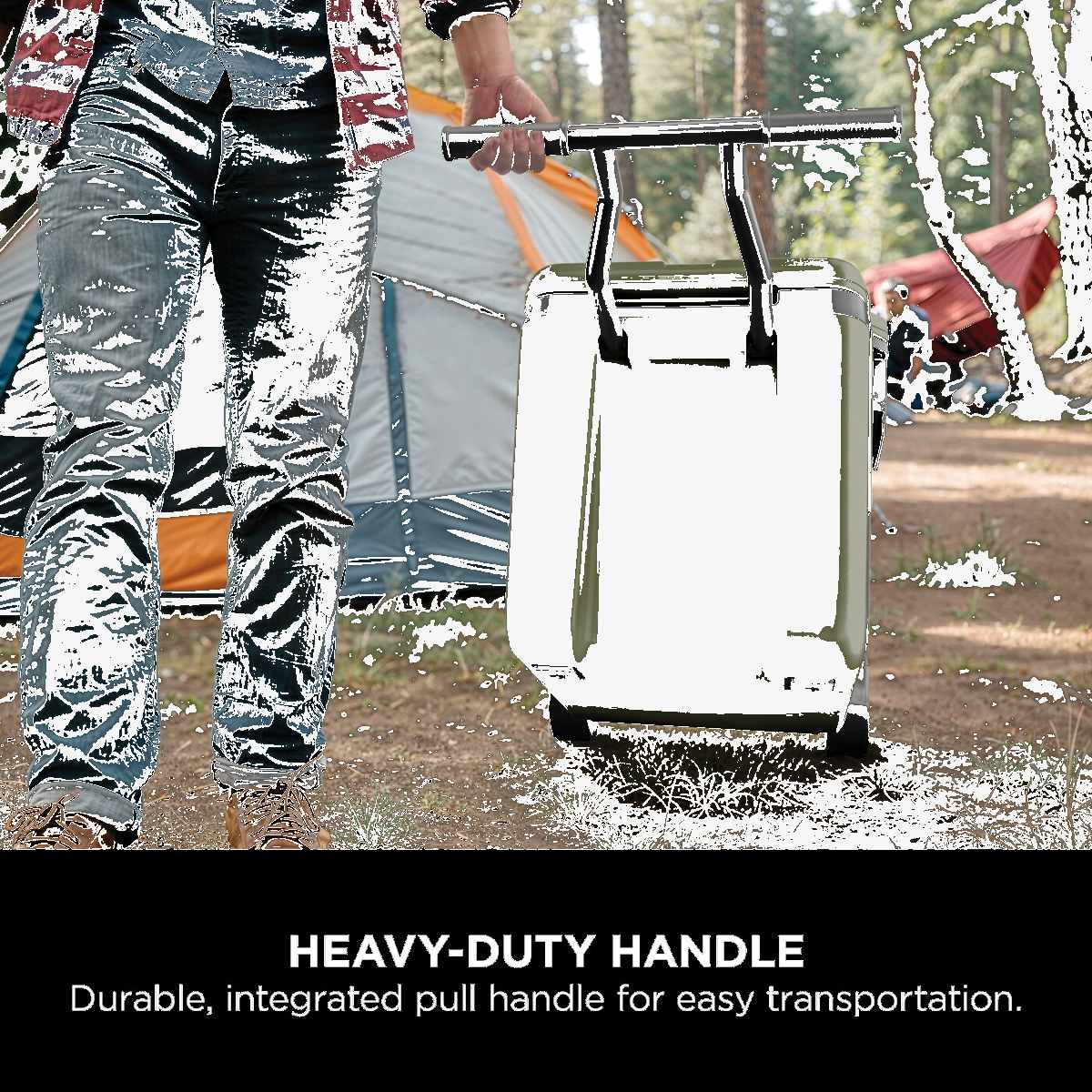 FB245EUUKDBGN product image